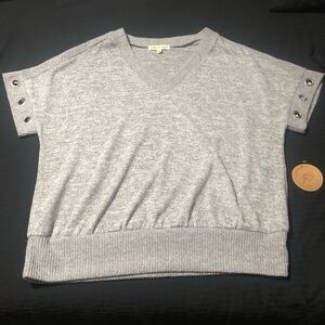 Parallel Skies Women's Gray Short Sleeve V-Neck Sweater, Size Large, Pullover